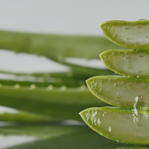 EXSENS Aloe Vera Water-Based Lubricant